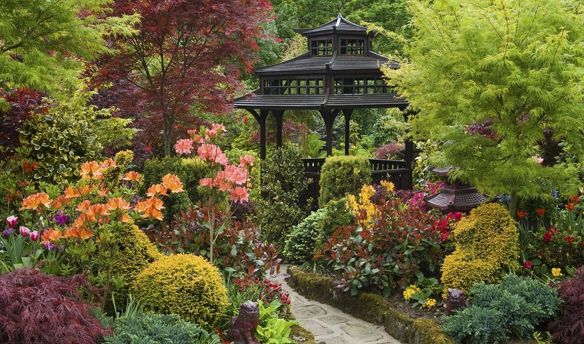 Creating a Japanese-Inspired Garden
