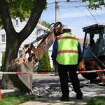 Enviro-Disposal Group - The Best Soil Disposal Company in NJ, NY