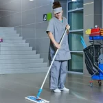 Regularly-Clean-Your-Home