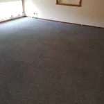Carpet-and-Tile-Flooring