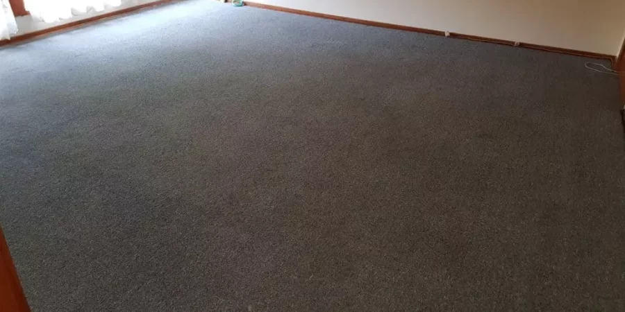 Carpet-and-Tile-Flooring