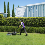 lawn mowing services in Wellington