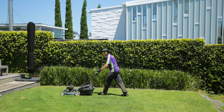 lawn mowing services in Wellington