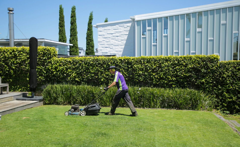 lawn mowing services in Wellington