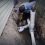 Is Your Sewer Line Damaged? Here’s What LA Homeowners Need to Watch For