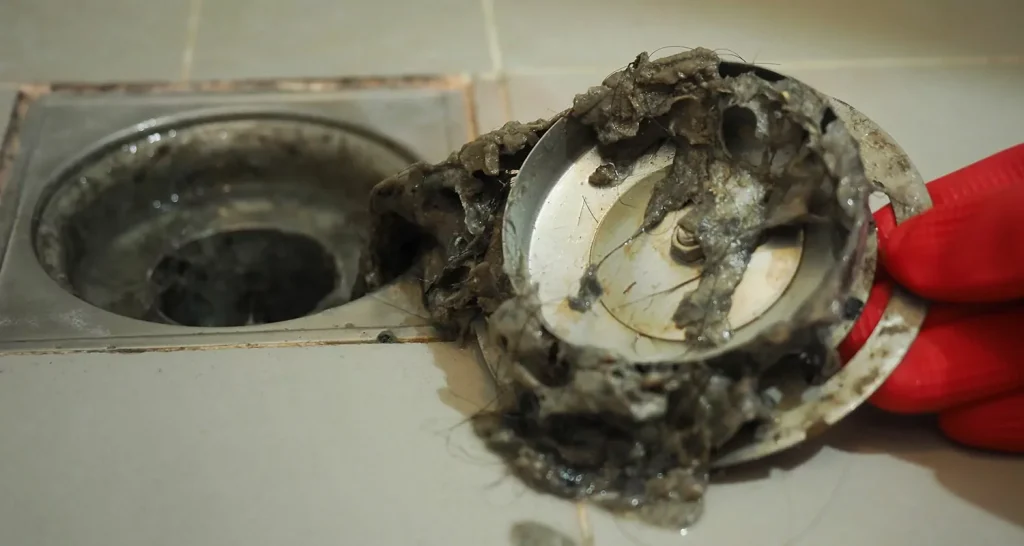 Shower Drain Smell Like Onions Shower Drain Smell Like Onions