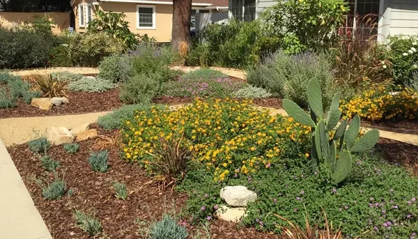 Sprinkler Repair