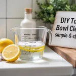 diy toilet bowl cleaner